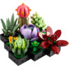 LEGO: Succulents