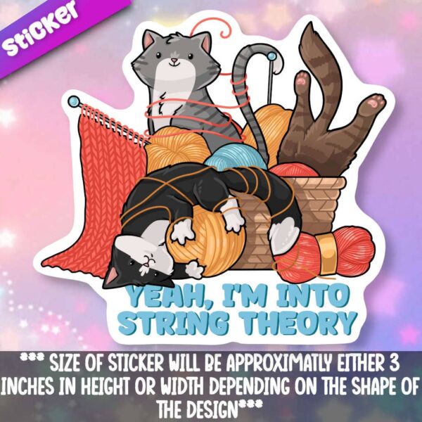 STK: String Theory Cats