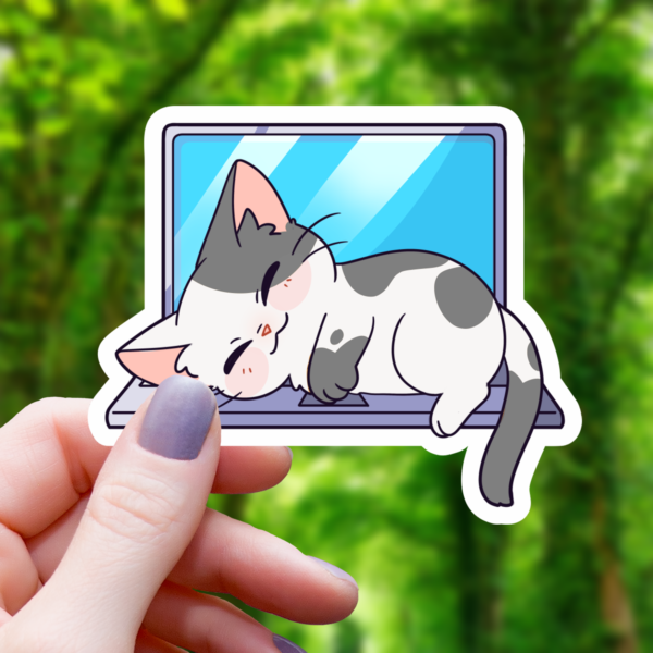 STK: Cat Sleeping on Laptop