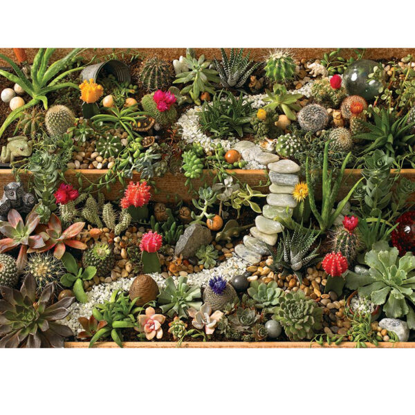 Jigsaw: Succulent Garden 1000pc