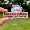 STK: I'm Only Talking to My Cat