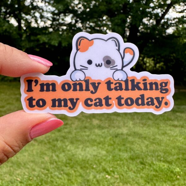STK: I'm Only Talking to My Cat