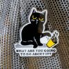 PIN: What Are You Going To Do About It Cat