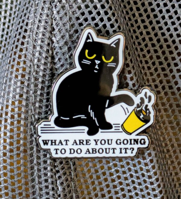 PIN: What Are You Going To Do About It Cat