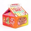 SET: Mystery Milk Fruit Meadows Kawaii Cats