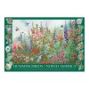 Jigsaw: Hummingbirds of North America 2000 pcs