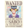 STK: Sabo One Piece
