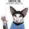 STK: Spock Cat - Star Trek