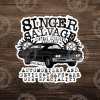 STK: Singer Salvage Paranormal