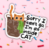 STK: I’m An Inside Cat