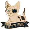 PIN: Petty Evil