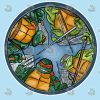 STK: TMNT Turtles